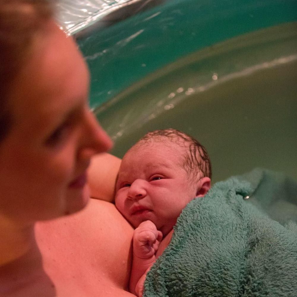 Meet your Posher, Saviah